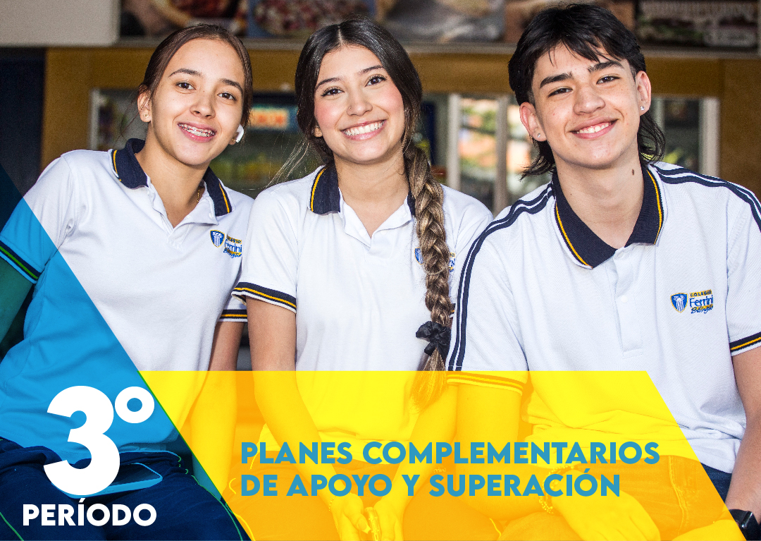 Planes Complementarios de Apoyo y Superación Colegio Ferrini 3